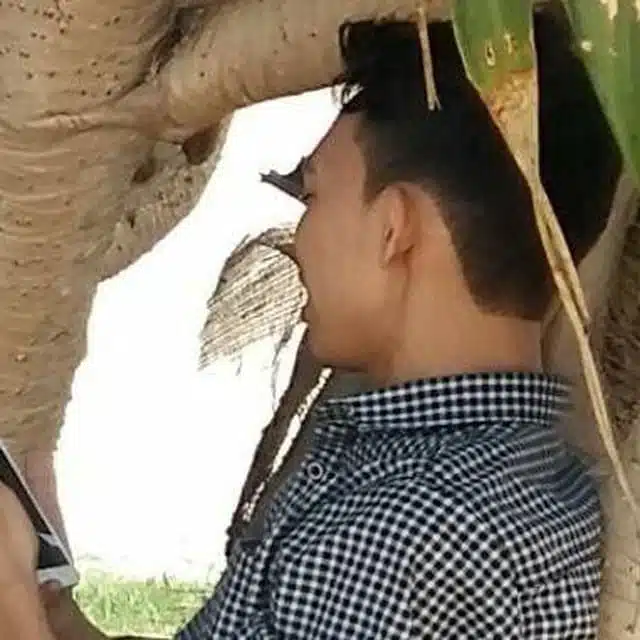 Teuku Taufik