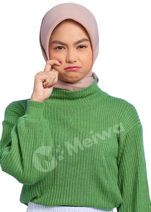 meiwa-sedih.png meiwa-sedih.png